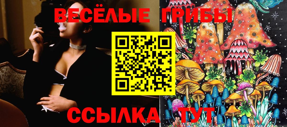 Псилоцибиновые грибы ЛСД Бузулук