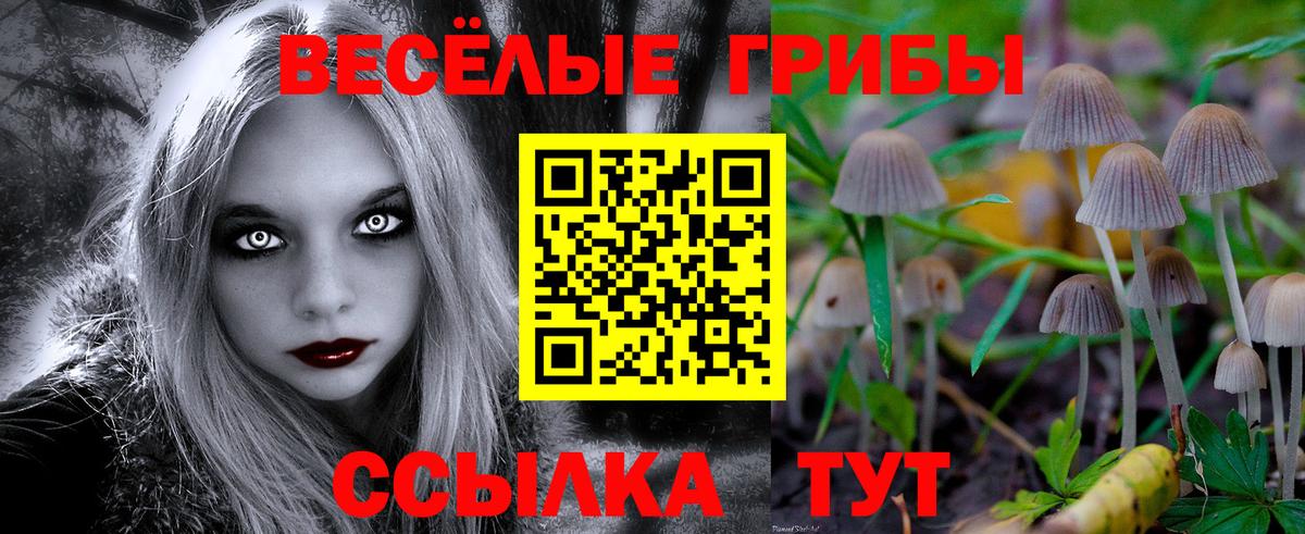 Галлюциногенные грибы Magic Shrooms  Галлюциногенные грибы Psilocybe  Бузулук  Вход с VPN 